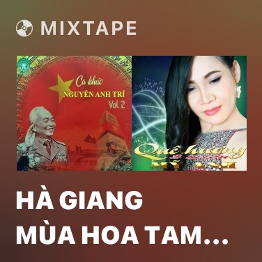 Mixtape Hà Giang Mùa Hoa Tam Giác Mạch - Various Artists