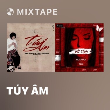 Mixtape Túy Âm - Various Artists