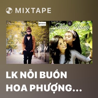 Mixtape LK Nỗi Buồn Hoa Phượng Remix - Various Artists