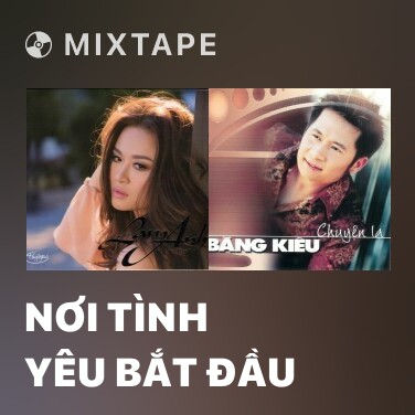 Mixtape Nơi Tình Yêu Bắt Đầu - Various Artists