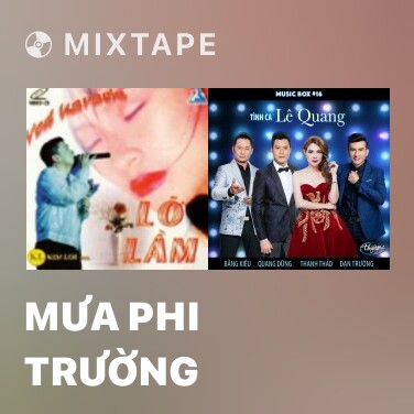 Mixtape Mưa Phi Trường - Various Artists