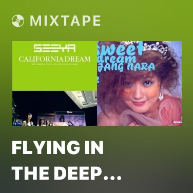 Mixtape Flying In The Deep Night - Various Artists