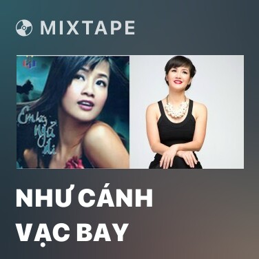Mixtape Như Cánh Vạc Bay - Various Artists