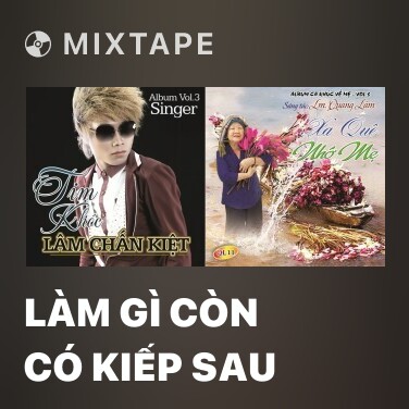 Mixtape Làm Gì Còn Có Kiếp Sau - Various Artists