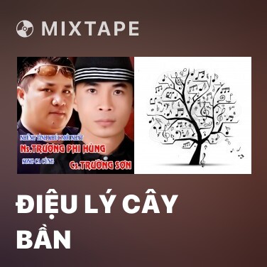 Mixtape Điệu Lý Cây Bần - Various Artists