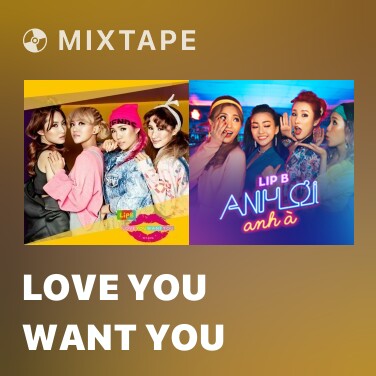 Mixtape Love You Want You - Various Artists