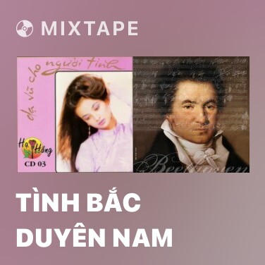 Mixtape Tình Bắc Duyên Nam - Various Artists