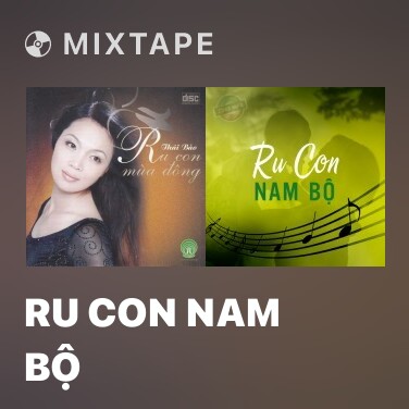 Mixtape Ru Con Nam Bộ - Various Artists