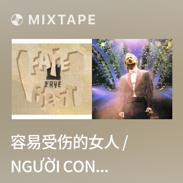 Mixtape 容易受伤的女人 / Người Con Gái Dễ Tổn Thương (Mandarin) - Various Artists