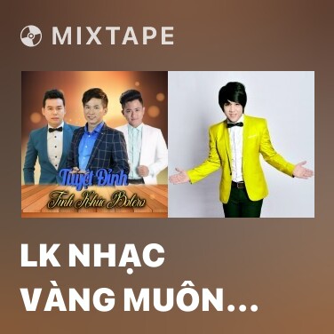 Mixtape LK Nhạc Vàng Muôn Thuở - Various Artists