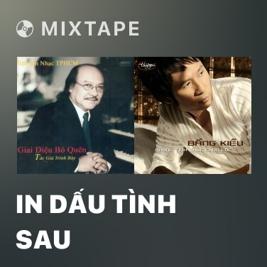 Mixtape In Dấu Tình Sau - Various Artists