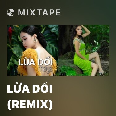 Mixtape Lừa Dối (Remix) - Various Artists