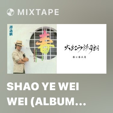 Mixtape Shao Ye Wei Wei (Album Version) - Various Artists