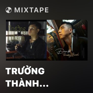Mixtape Trưởng Thành (Cover) - Various Artists