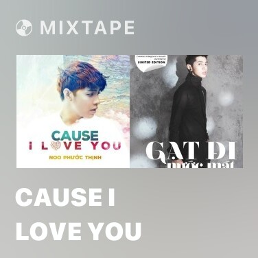 Mixtape Cause I Love You