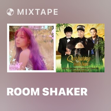 Mixtape Room Shaker