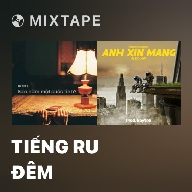 Mixtape Tiếng Ru Đêm - Various Artists