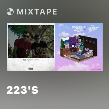 Mixtape 223's - Various Artists