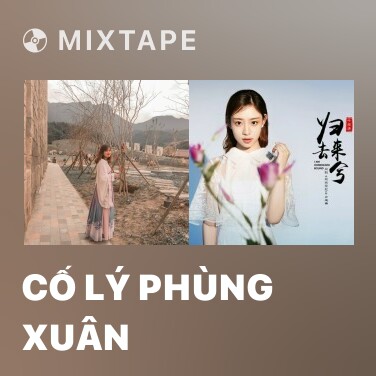 Mixtape Cố Lý Phùng Xuân - Various Artists
