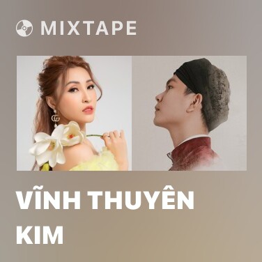 Mixtape Vĩnh Thuyên Kim - Various Artists
