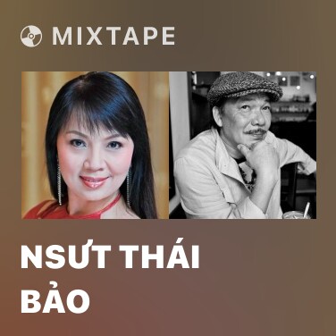Mixtape NSƯT Thái Bảo - Various Artists