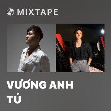 Mixtape Vương Anh Tú - Various Artists