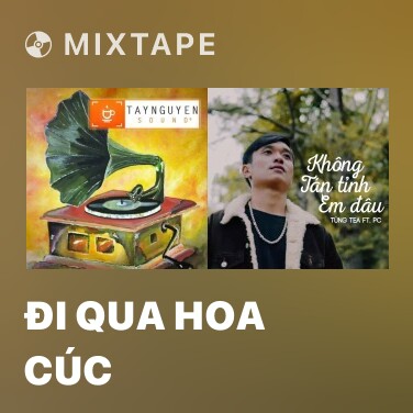 Mixtape Đi Qua Hoa Cúc - Various Artists