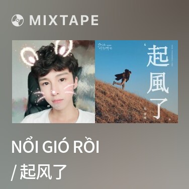 Mixtape Nổi Gió Rồi / 起风了 - Various Artists