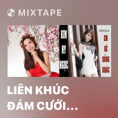 Mixtape Liên Khúc Đám Cưới Xuân - Various Artists