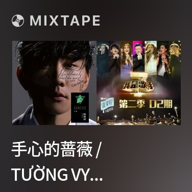 Mixtape 手心的蔷薇 / Tường Vy Trong Lòng Bàn Tay - Various Artists