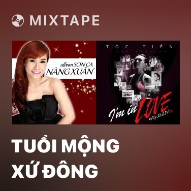 Mixtape Tuổi Mộng Xứ Đông - Various Artists