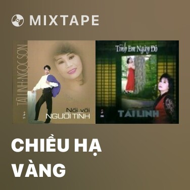 Mixtape Chiều Hạ Vàng - Various Artists