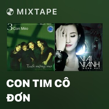 Mixtape Con Tim Cô Đơn - Various Artists