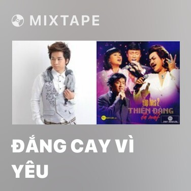 Mixtape Đắng Cay Vì Yêu - Various Artists