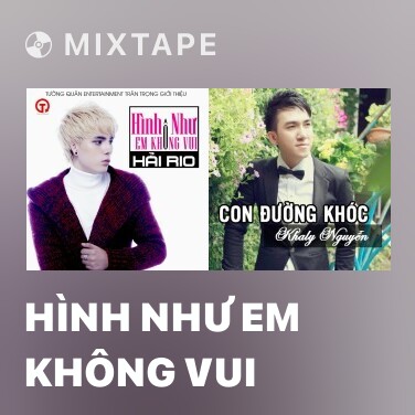 Mixtape Hình Như Em Không Vui - Various Artists
