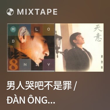 Mixtape 男人哭吧不是罪 / Đàn Ông Khóc Không Phải Tội - Various Artists