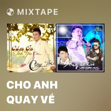Mixtape Cho Anh Quay Về - Various Artists