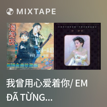 Mixtape 我曾用心爱着你/ Em Đã Từng Thật Lòng Yêu Anh - Various Artists