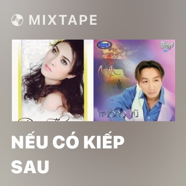 Mixtape Nếu Có Kiếp Sau - Various Artists