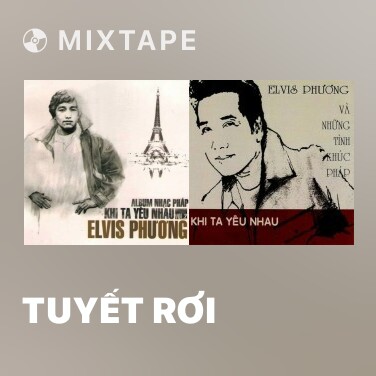 Mixtape Tuyết Rơi - Various Artists