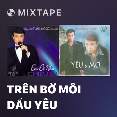 Mixtape Trên Bờ Môi Dấu Yêu - Various Artists