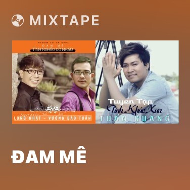 Mixtape Đam Mê - Various Artists