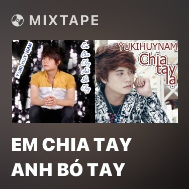 Mixtape Em Chia Tay Anh Bó Tay - Various Artists