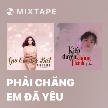 Mixtape Phải Chăng Em Đã Yêu - Various Artists