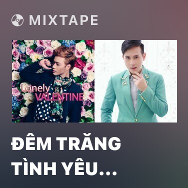 Mixtape Đêm Trăng Tình Yêu (Remix) - Various Artists