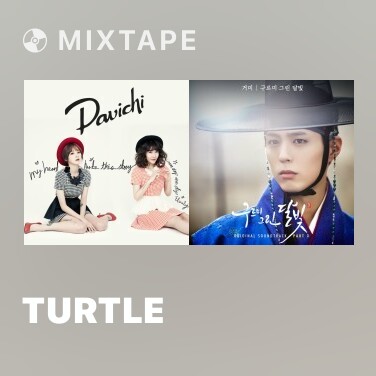 Mixtape Turtle - Various Artists