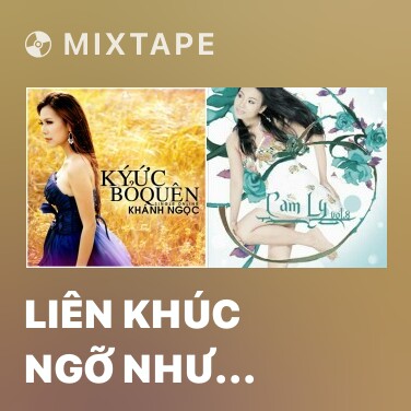 Mixtape Liên Khúc Ngỡ Như Giấc Mơ - Various Artists