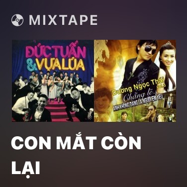 Mixtape Con Mắt Còn Lại - Various Artists