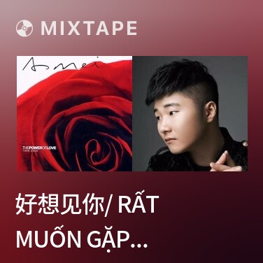 Mixtape 好想见你/ Rất Muốn Gặp Anh - Various Artists