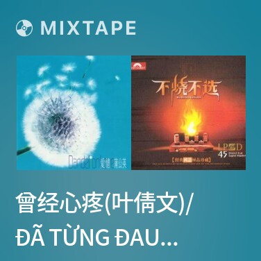 Mixtape 曾经心疼(叶倩文)/ Đã Từng Đau Lòng - Various Artists